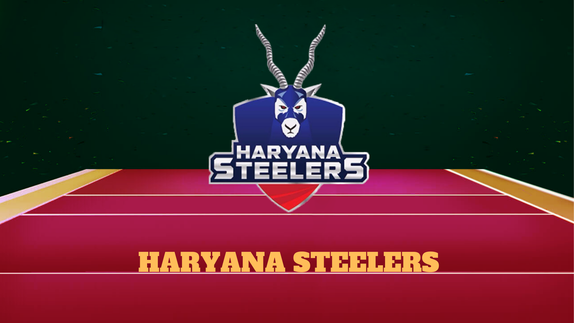 Haryana Steelers